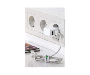 Wentronic goobay USB-C charger set - Netzteil - 12 Watt -...