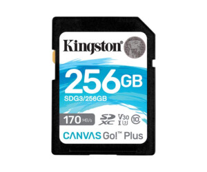 Kingston Canvas Go! Plus - Flash-Speicherkarte