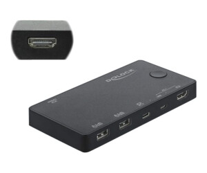 Delock HDMI / USB-C KVM Switch 4K 60 Hz with USB 2.0