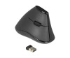 Delock Ergonomic - Vertikale Maus - ergonomisch - Für Rechtshänder - optisch - 5 Tasten - kabellos - 2.4 GHz - kabelloser Empfänger (USB)