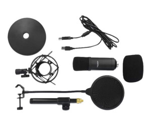 Delock Professional USB Condenser Microphone Set for...