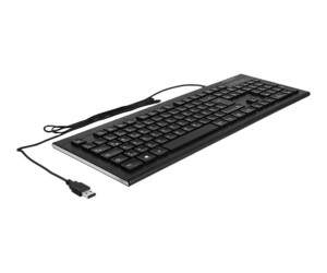 Delock keyboard - USB - QWERTZ - German - Black